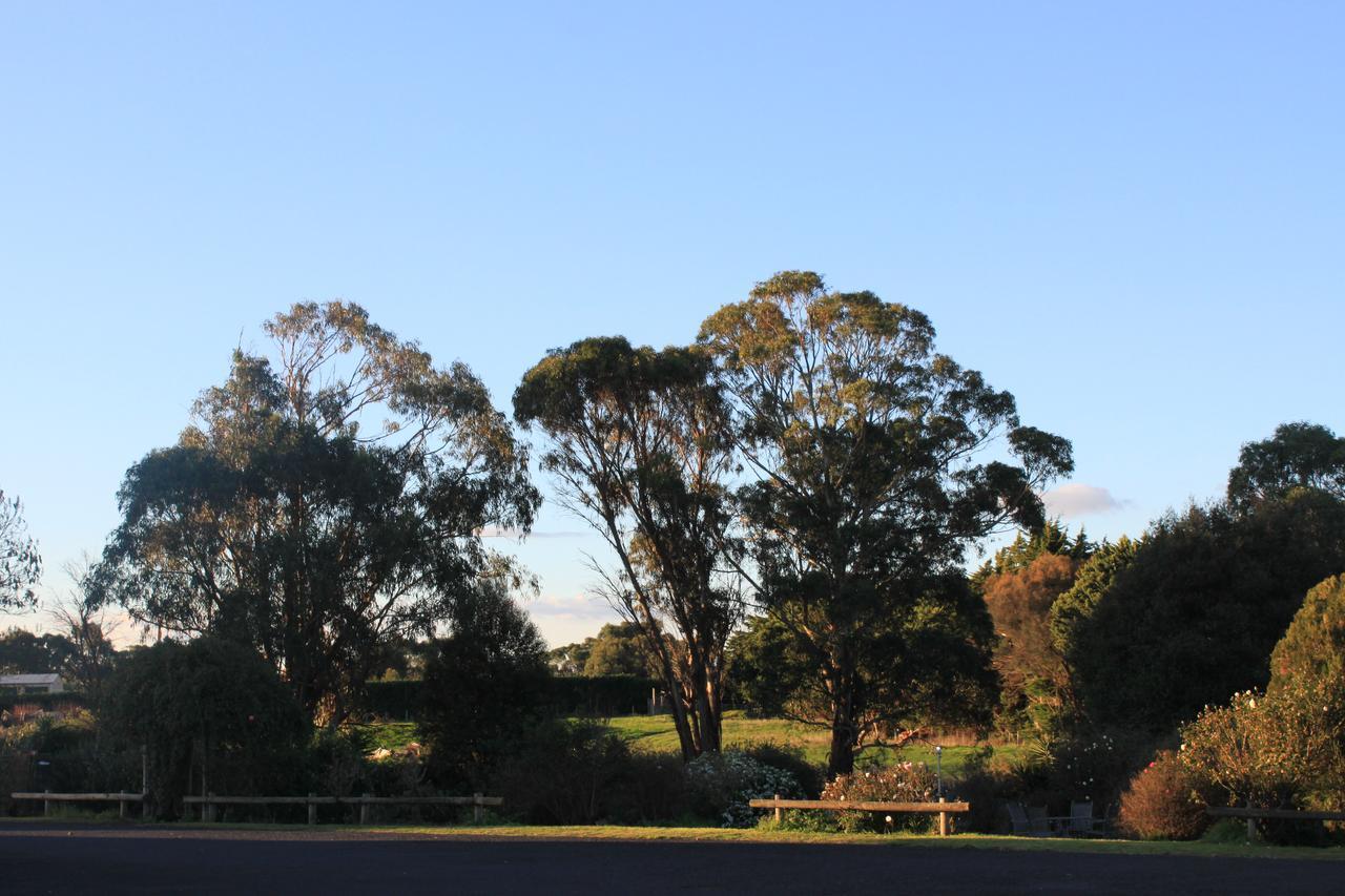 Mt Gambier International Motel Mount Gambier Bagian luar foto