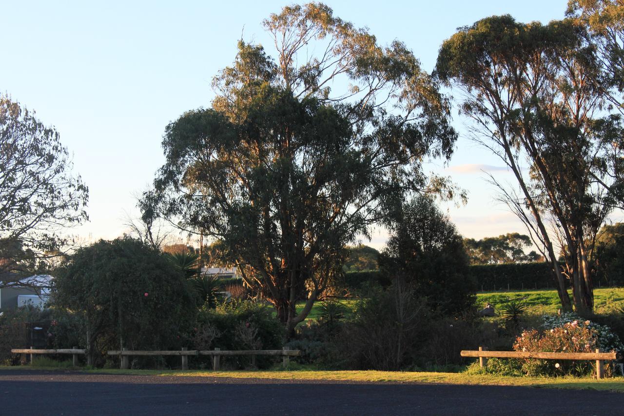 Mt Gambier International Motel Mount Gambier Bagian luar foto